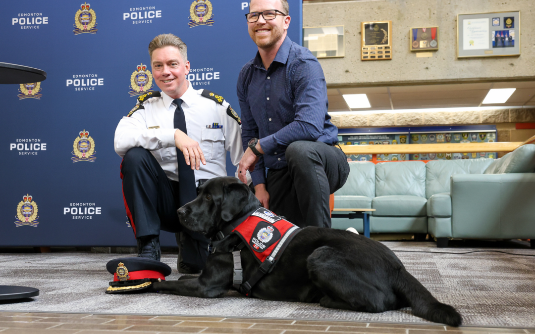 Blaise, Alberta’s First Operational Stress Intervention Dog, joins Edmonton Police Service
